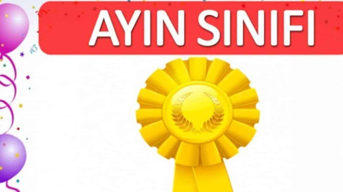 Ayın Sınıfı